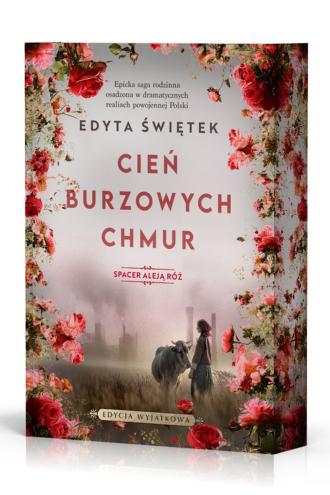Cień burzowych chmur. Spacer Aleją - okładka książki