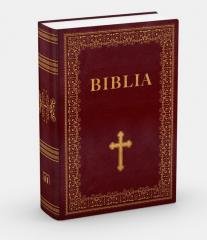 Biblia Edukacyjna w obwolucie komunijnej - okładka książki