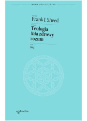 Teologia (n)a zdrowy rozum. Bóg - okładka książki