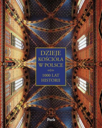 Dzieje Kościoła w Polsce - okładka książki